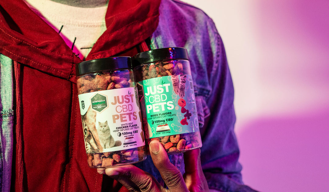 Man standing with CBD for Pets products inside a studio with colorful lighting